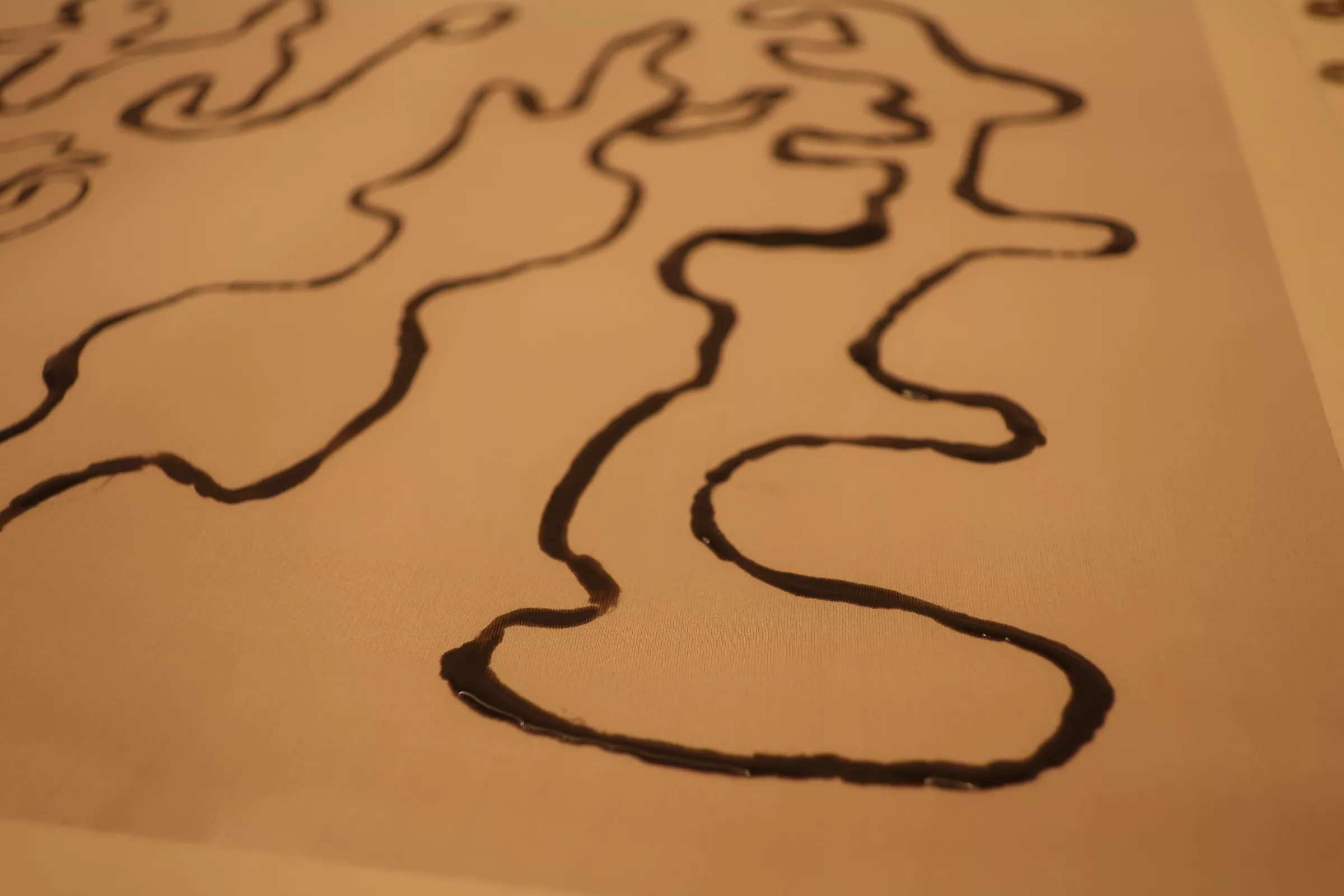 LABO Volwassenen : Schilderen op zijde op muziek