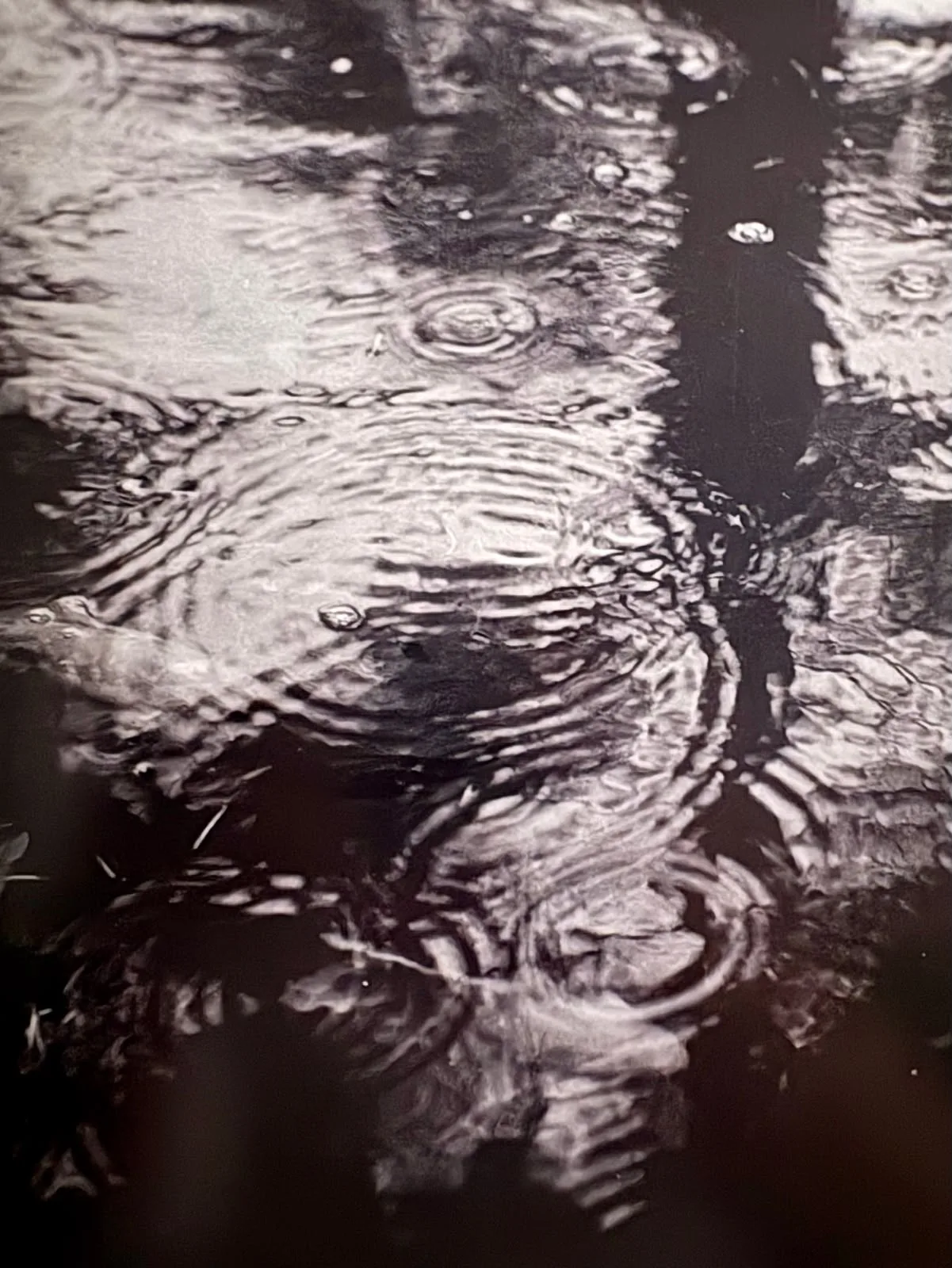 LABO DE LUX : De goede regen met Jan Decleir